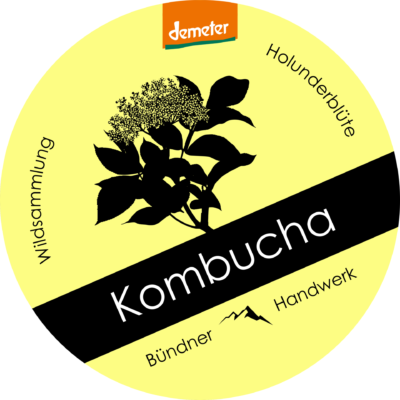Kombucha_Holunderblüte_Front Kombucha_Holunderblüte_Front